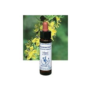 NEAL'S YARD REMEDIES（ニールズヤードレメディーズ） ヒーリング