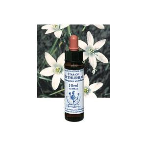 ヒーリングハーブス スターオブベツレヘムエキス 10ml 日本国内正規品 Healing Herbs No.30の商品画像