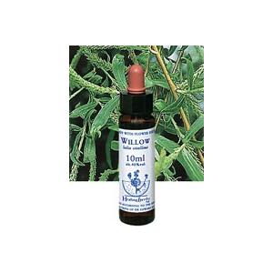 ヒマラヤン フラワー エンハンサーズ グラガ ( 15ml )/ : 爽快ドラッグ
