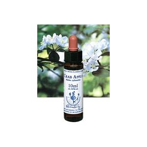 NEAL'S YARD REMEDIES（ニールズヤードレメディーズ） ヒーリング