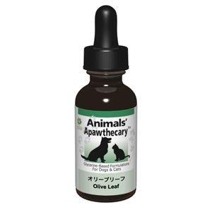 アニマルズアパスキャリー   オリーブリーフ 29.5ml