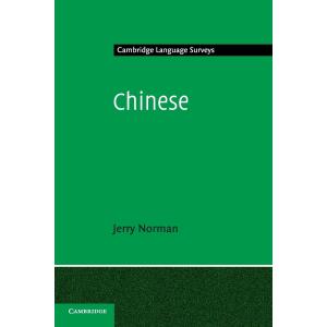 Chinese (Cambridge Language Surveys)