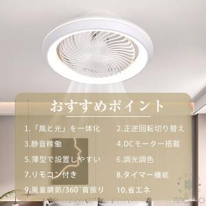 シーリングファンライト ファン付き照明 首振り...の詳細画像1