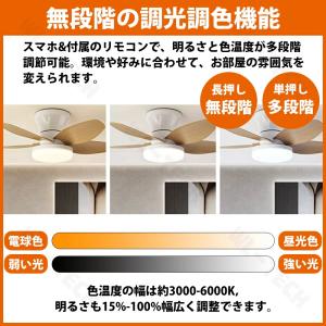 【2026新登場】シーリングファンライト おし...の詳細画像3