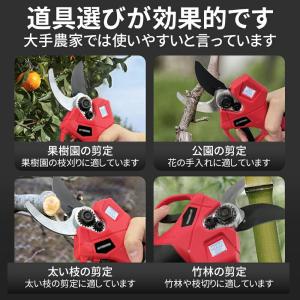 電動剪定ばさみ 電動剪定バサミ 充電式 一台2...の詳細画像2