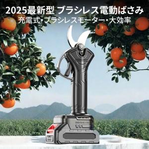剪定バサミ 電動剪定ばさみ 充電式 一台2役 ...の詳細画像1