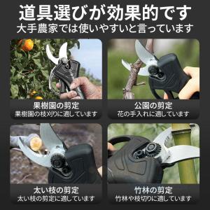 剪定バサミ 電動剪定ばさみ 充電式 一台2役 ...の詳細画像2