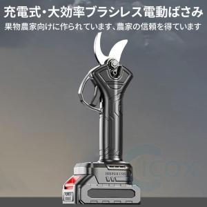 剪定バサミ 電動剪定ばさみ 充電式 一台2役 ...の詳細画像4