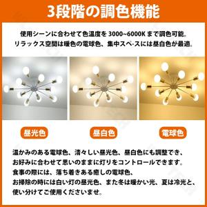 【5年保証】シーリングライト LED 三色切替...の詳細画像3