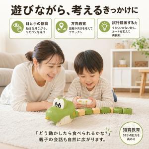 ラジコンカー パクパクワニ リモコン ブロック...の詳細画像5