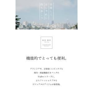 Big Bee 保冷・保温のできるスクエアバッ...の詳細画像1