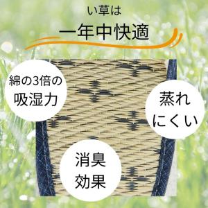 【セットでお得】スリッパ 4足 セット オール...の詳細画像3