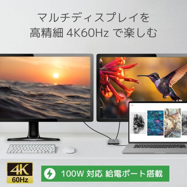 USB Type-C to デュアルHDMIディスプレイアダプター（PD対応）RS-UCHD2-PD