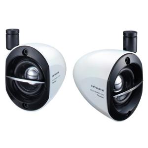 カロッツェリア TS-STH1100 パイオニア 2wayサテライトスピーカー 薄型