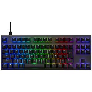 REALFORCE リアルフォース 東プレ GX1 キーボード 静音 30g TKLサイズ