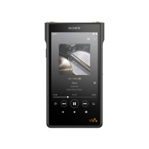 SONY デジタルオーディオプレーヤー(DAP) NW-WM1AM2 [128GB]
