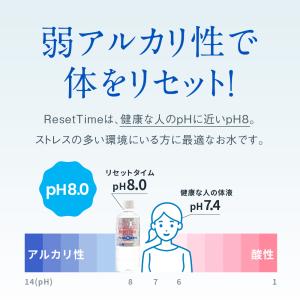 天然水 Reset Time リセットタイム ...の詳細画像3
