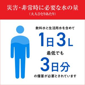 天然水 Reset Time リセットタイム ...の詳細画像4