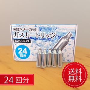 炭酸ガス カートリッジ 100回分 炭酸水 炭酸水メーカー用 ガス