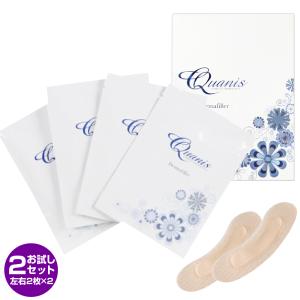販売終了※ダーマフィラー 2セット QUANIS Dermafiller  ヒアルロン酸 パック