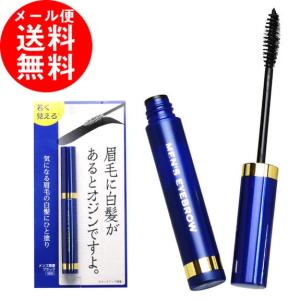 販売終了※メンズ眉墨 ブラック / アイブロー アイブロウ 部分 白髪隠し 眉毛 もみあげ 男性用 メンズ用 ポイント 眉毛用 眉マスカラ ビナ薬粧 オジン2