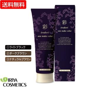 イリヤ彩 ONEメイクカラー 250g (白髪染 トリートメント ヘアケア 美容/理容 イリヤコスメティクス)  yct/c2｜youplus-corp