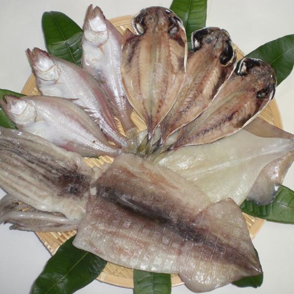 兵庫 香住ハマダセイ 日本海香住港一夜干し / 送料無料 ( 北海道・沖縄・離島は配送不可)