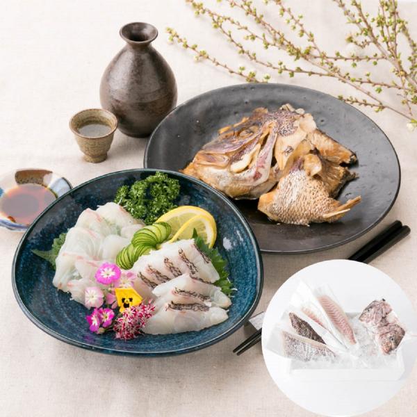 快眠活魚 養殖真鯛 解体セット/ 送料無料 ( 北海道・沖縄・離島は配送不可)