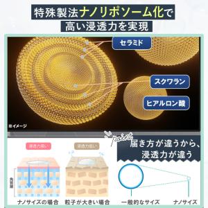 【返金保証】家族でこれ1本 大容量3か月分 マ...の詳細画像4