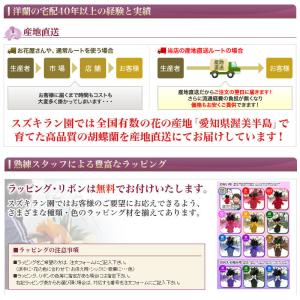 シンビジューム ピンク アーチ 直立 10本立...の詳細画像4