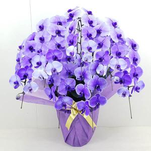 特殊な技術で染め上げた　胡蝶蘭　大輪　パープルエレガンス　7本立ち　送料無料