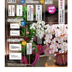 ハート胡蝶蘭 大輪タイプ 紅白 特大ダブルハートの詳細画像5