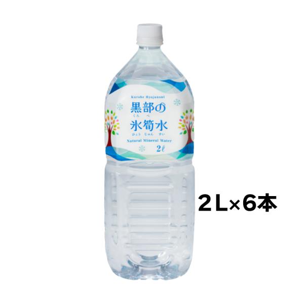 天然水 黒部の氷筍水 北アルプス 2L×6本×1ケース 関電不動産開発