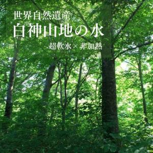 水 2リットル × 6本 × 2ケース ミネラ...の詳細画像2
