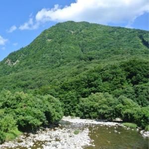 水 2リットル × 6本 × 2ケース ミネラ...の詳細画像3