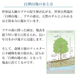 水 2リットル × 6本 × 2ケース ミネラ...の詳細画像4