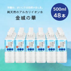 水素水 水素 珪素 天然水 富士山 水 VanaH 500ml×24本入り : 水素珪素