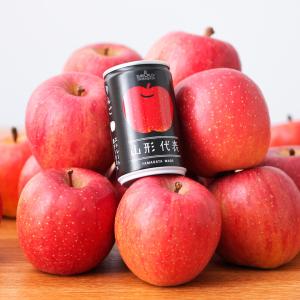 りんごジュース ストレート果汁100％ 山形代表 りんご 160g×20缶入 送料無料 ギフト 熨斗 アップル 林檎 山形食品｜ハイマート
