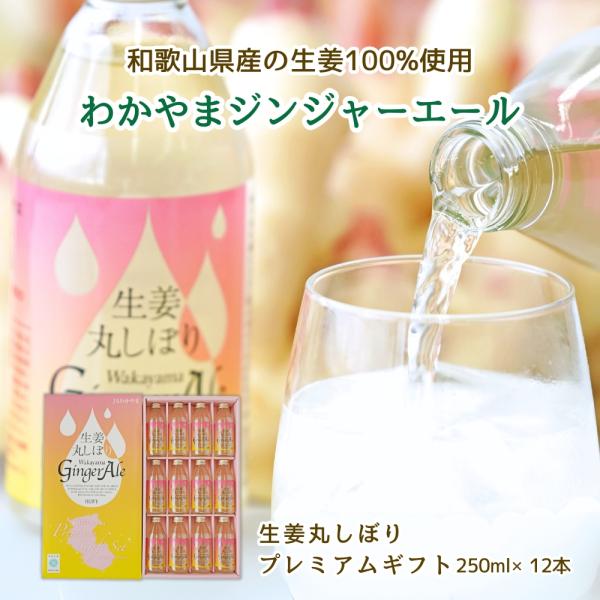 生姜丸しぼり わかやまジンジャーエール プレミアムギフト250ml×12本 JAわかやま Wakay...