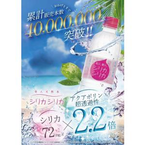シリカシリカ 500ml×24本×2ケース 計...の詳細画像1