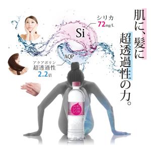 シリカシリカ 500ml×24本×2ケース 計...の詳細画像2