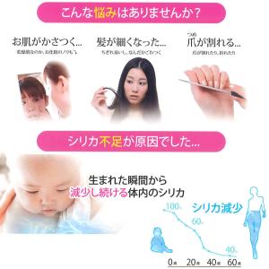 シリカシリカ 500ml×24本×2ケース 計...の詳細画像3