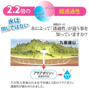 シリカシリカ 500ml×24本×2ケース 計...の詳細画像4