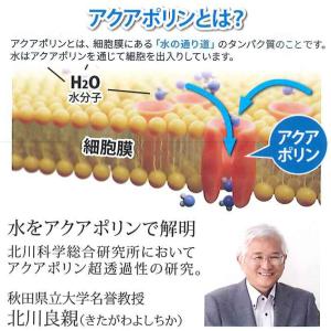 シリカシリカ 500ml×24本×2ケース 計...の詳細画像5