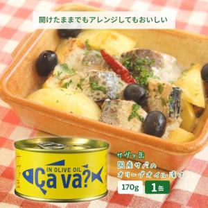 おかえりサヴァ缶 サヴァ缶 数量限定 レモンバジル味 1ケース24缶入
