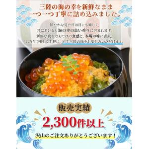 いくら 海鮮 海鮮セット お取り寄せ 瓶ドン ...の詳細画像3
