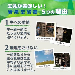 ＼TV放映で話題/岩泉ヨーグルト [加糖 2k...の詳細画像3