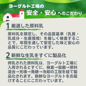 ＼TV放映で話題/岩泉ヨーグルト [加糖 2k...の詳細画像5