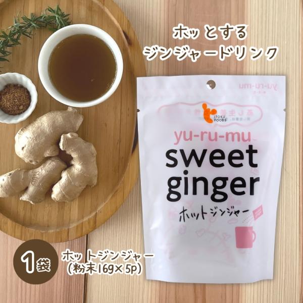 生姜湯 温活 sweet ginger ホットジンジャー 16g×5P入×1袋 無添加 イトク食品 ...