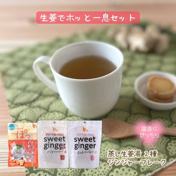生姜でホッと一息セット (蒸し生姜湯 ホットジンジャー 16g×5P、紅茶バニラジンジャー 16g×...